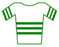 Archivo:Jersey green lines volta