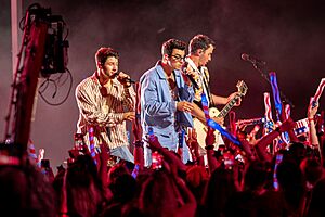 Archivo:Jonas Brothers 4th of July Show Taping in Cleveland (51276333427)