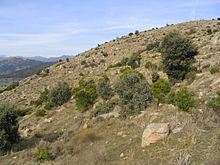 Archivo:Ladera del Cerro Cañal