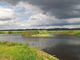 Laguna Cartagena National Wildlife Refuge, Puerto Rico.jpg