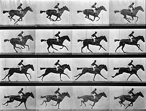 Archivo:Le-galop-de-daisy