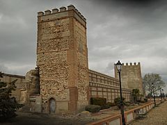 Madrigal de las Altas Torres Murallas