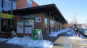 Marché Jean-Talon 4.jpg