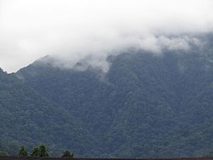 Archivo:Montaña en la Ceiba Honduras