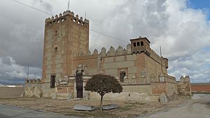 Narros de Saldueña - Castillo 2.jpg