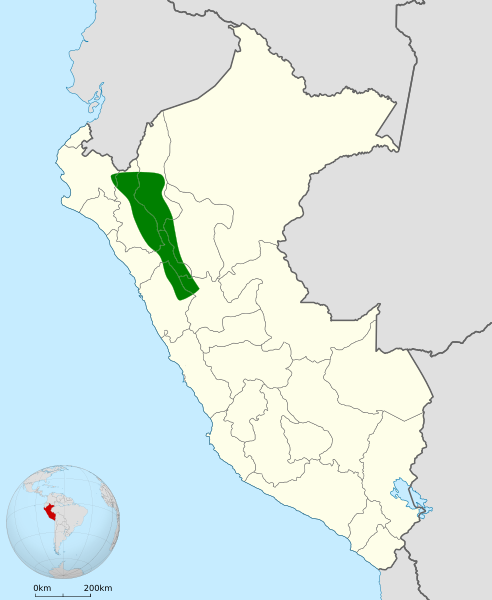 Polioptila maior map