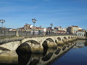 Archivo:Pontevedra Capital Puente Burgo