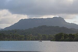 Archivo:Río Toa y El Yunque 4881