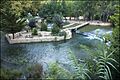 RIO JUCAR EN ALCALA