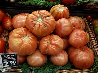 Rosa de Barbastro tomatoes 2017 A1.jpg