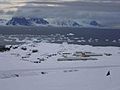 Rothera from reptile