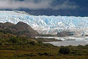 Archivo:San Quintin Glacier 1