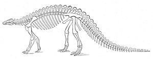 Archivo:Scelidosaurus skeleton