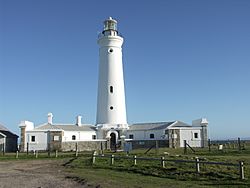 Seal Point Lighthouse-001.jpg