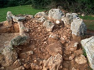 Archivo:Ses Arenes de Baix 2