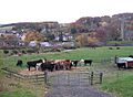 Stow - geograph.org.uk - 601928