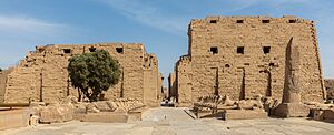 Archivo:Templo de Karnak, Luxor, Egipto, 2022-04-03, DD 138