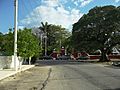 Tixcacal (Mérida), Yucatán (02)
