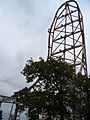 TopThrillDragsterCedarPointe