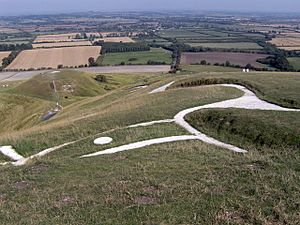 Archivo:Uffington White Horse and Dragon Hill - geograph.org.uk - 238471