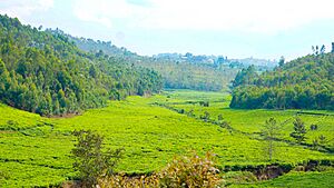 Archivo:VISIT RWANDA KIBEHO