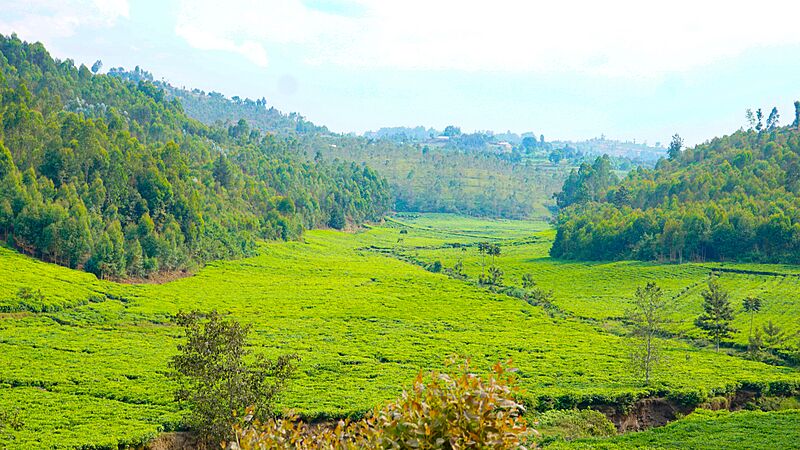 VISIT RWANDA KIBEHO