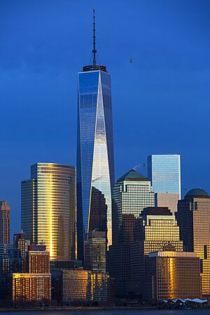 Archivo:View to One World Trade Center