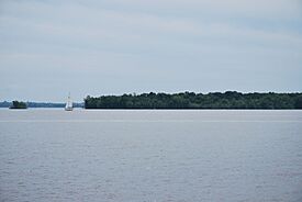 Vue sur l'île Dowker, parc Angell (Beaconsfield) (8574575715).jpg