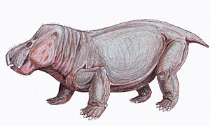Archivo:Wadiasaurus1DB