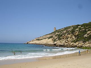 ZaharaAtunes1140.jpg