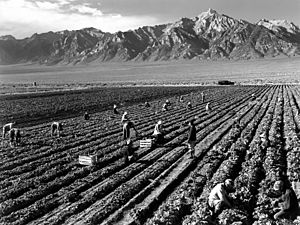 Archivo:Ansel Adams - Farm workers and Mt. Williamson
