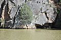 Arribas del Douro Zimbro