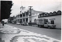 Ayuntamiento Municipal, 1977.jpg