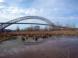 Archivo:Bayonne Bridge from Nicholas Av overpass jeh