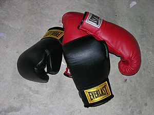 Archivo:Boxing gloves