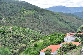 Carabusino (Casares de las Hurdes) - 010 (30671006876).jpg