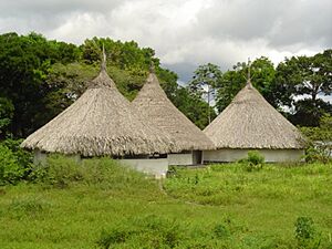 Archivo:Churuatayekuana