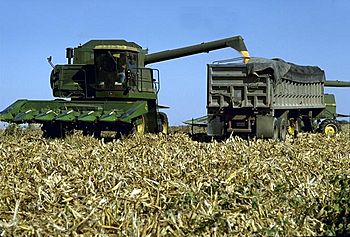 Archivo:Combine-harvesting-corn