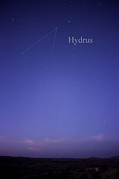 Archivo:Constellation Hydrus
