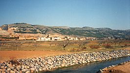 Contamina desde el río Jalón.jpg