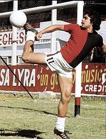 Cucurucho santamaria newells.jpg