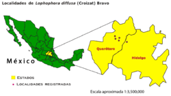 Distribución geográfica de Lophophora diffusa en los estados de Querétaro e Hidalgo. Nombre común: peyote queretano.