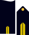 Divipalaarmadaes 11