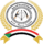 Emblem of the Rapid Support Forces.png