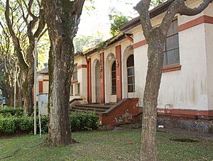 Archivo:Enfermería CCD