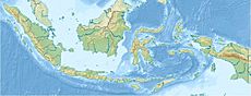 Rinjani ubicada en Indonesia