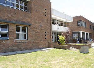 Archivo:Instituto de Formación Docente - panoramio