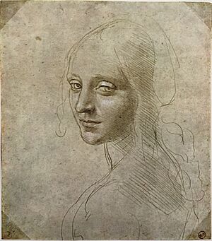 Archivo:Leonardo study Madonna of the rocks