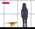 Lesothosaurus SIZE