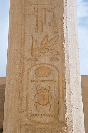 Archivo:Luxor, hieroglyphs on an obelisk inside the Temple of Hatshepsut, Egypt, Oct 2004